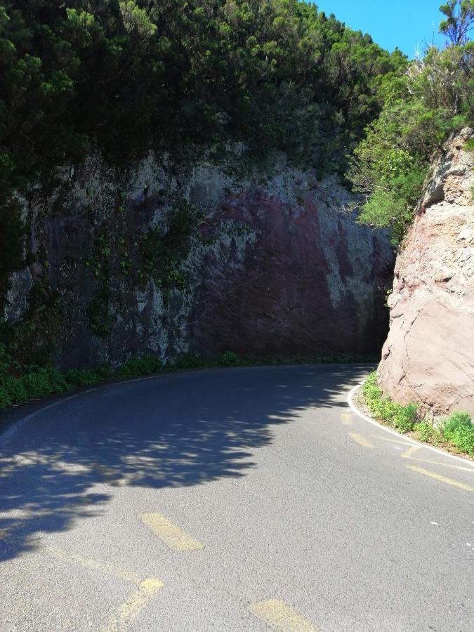 Anaga Y La Laguna A Tus Pies Santa Cruz de Tenerife Luaran gambar